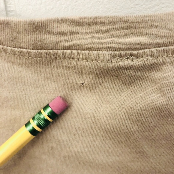 Austin City Limits Graphic Tshirt Cropped ACL Texas Eagle Concert Tan Large - Picture 4 of 4